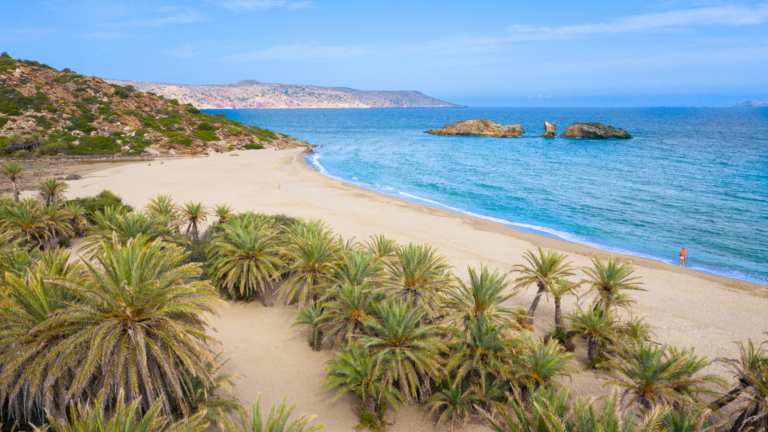 vai beach palm forest best places in crete